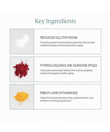 CYMBIOTIKA Liposomal Glutathione Supplement PQQ CoQ10 & Antioxidants for Detox Brain Energy Immune Support Advanced Absorption for Cellular Health & Longevity Citrus Vanilla 1 Month Supply Citrus Vanilla 0.17 Fl O  - Buy Online on GoSupps.com