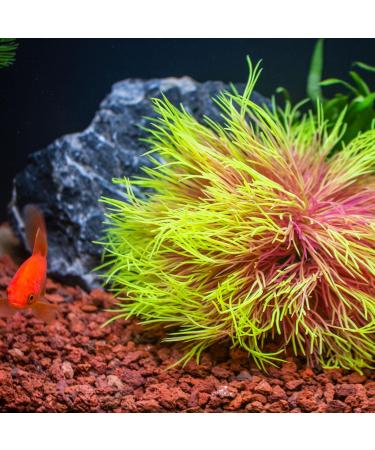 Buy TAOMYPETS Pink Yellow Plastic Aquarium Plants & Coral Reef Ornaments - Best Aquarium Decor for International Shipping - Buy Online on GoSupps.com