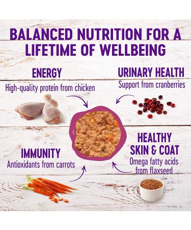 Wellness Complete Health Grain-Free Wet Cat Food - Chicken & Lobster, Natural Ingredients, Made in USA, Adult Cat Pate (3oz, 5oz, 12.5oz) - Buy Online on GoSupps.com