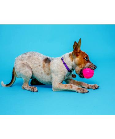 Hartz Dura Play Bacon Scented Squeak Ball Dog Toy - Small (3 Pack) - Buy Online on GoSupps.com