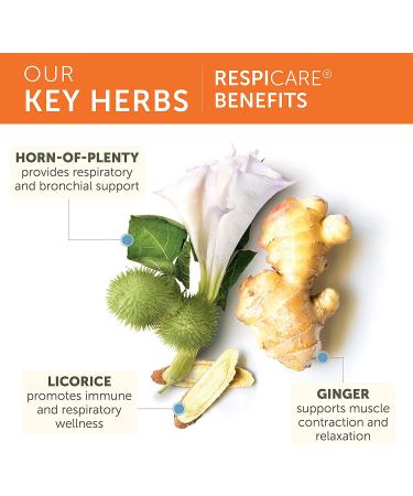 Himalaya RespiCare 570mg 120 Capsules - Sinus Support & Healthy Breathing | 1 Month Supply - Buy Online on GoSupps.com