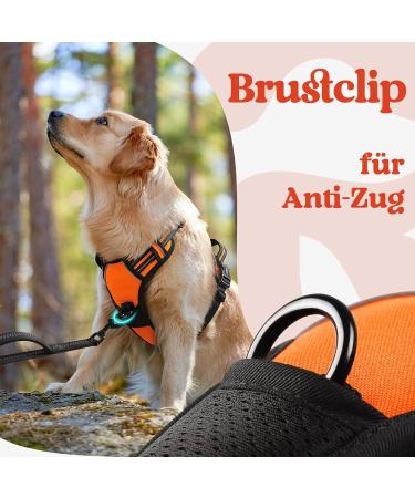Rabbitgoo Dog Harness for Small Dogs - Adjustable No-Choke Softly Padded Reflective with Handle - Anti-Train Design - 1 Pack Orange - Buy Online on GoSupps.com