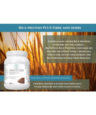 BodyFuel Brown Rice Protein Powder with Chicory, Green Tea & Guarana Extract 500g | Vegan & Hypoallergenic Complementary Supplements - Buy Online on GoSupps.com