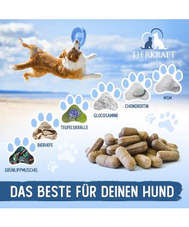 Animal Power Joint Tablets for Dogs - Made in Germany - Green Lipped Mussel & Teufel's Claw - 100 Bone & Joint Protection Tablets - Buy Online on GoSupps.com
