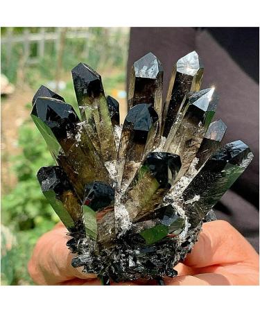 Natural Crystal Rough Crystals 1pc Black Phantom Quartz Crystal Cluster (Size : 900-1000g) - Buy Online on GoSupps.com