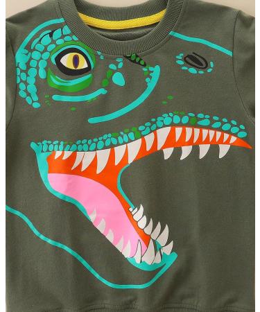 Boys Dinosaur Sweatshirt - Cotton Casual Top for Kids 4-5 Years - Buy Online on GoSupps.com