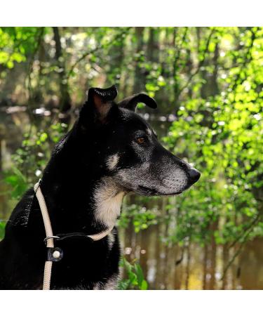 Lionto Dog Collar for Retrievers - Training Collar 55 cm Beige Durable & Stylish Design - Buy Online on GoSupps.com