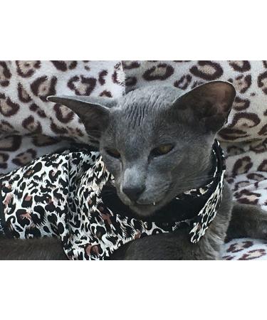 Mynwood Cheetah Cat Jacket & Harness | Escape Proof Design for Adult Cats | International Shipping Available - Buy Online on GoSupps.com