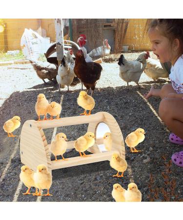 Cubolar Pine Chicken Perch with Mirror and Jungle Gym Roosting Bar | Chicken Toys for Coop and Brooder | Training Perch for Large Birds - Parrot, Macaw, Hens - Buy Online on GoSupps.com