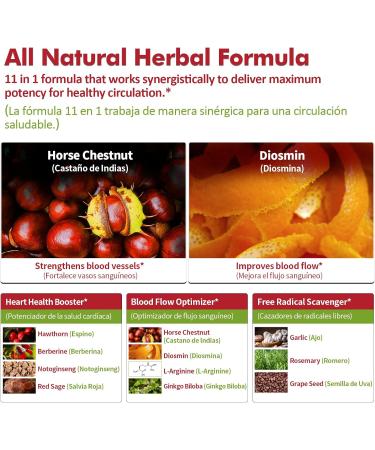 Blood Circulation Horse Chestnut Extract Liquid Drops Casta o de Indias y Diosmina para la Circulacion y Varices Nitric Oxide Supplement for Blood Flow Pressure & Heart Health.2 oz Horse Chestnut 2 Fl Oz (Pack of 1) - Buy Online on GoSupps.com