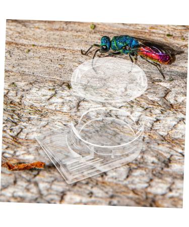 Housoutil Pet Water Feeder Ant Keeper Tools Ant Water Drinking Cup Ant Nest Supplies Ant Keeping Acrylic Basin - Buy Online on GoSupps.com