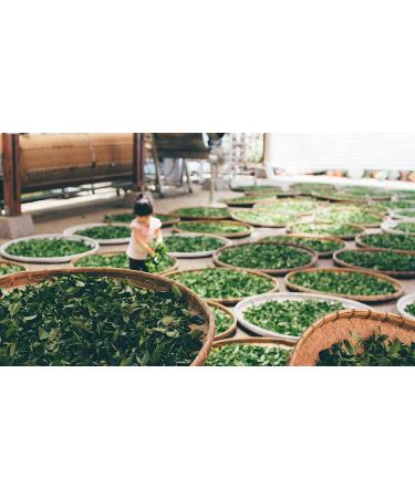 Dethlefsen Balk teemando Herbal tea mixture with green tea sweet temptation chocolateraspberry nut flavored 1 kg - Buy Online on GoSupps.com