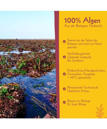Organic Bio Dulse Flakes 50g - Vegan Gluten-Free Nutrient-Rich Seaweed from Brittany France | Perfect Salt Substitute & Iodine Source - Buy Online on GoSupps.com