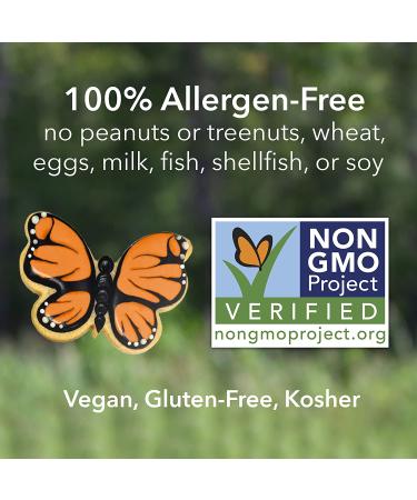 Ann Clark Pumpkin Orange Food Coloring Gel .70 oz (20g) - Vegan, Kosher, Non-GMO, Made in USA - Buy Online on GoSupps.com