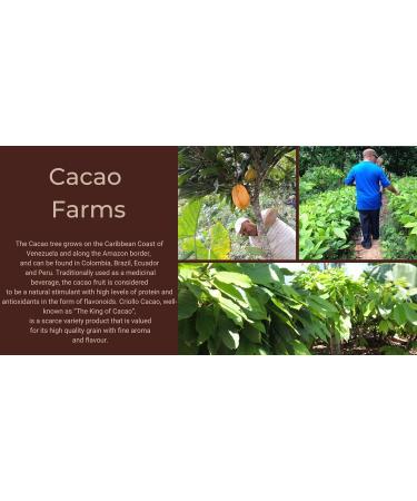 Cacao Buttons 100% Raw and Pure Cocoa Criollo Variety 250g Located in The Rainforest of Madagascar. - Buy Online on GoSupps.com