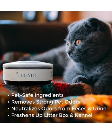 NCLEAIR Deodorizing Air Freshener Gum - Pet Odor Eliminator Spray - Multipurpose Gel for Home, Bathroom, Car - Long Lasting & Pet, Kid Safe (2 Pack) - Buy Online on GoSupps.com