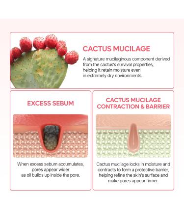 Dr.Melaxin Cactox Pore Dual Capsule Cream Pore Minimizing Hydrating Face Cream with Cactus Extract PDRN & Vegan Collagen for Firmness & Skin Repair - Buy Online on GoSupps.com
