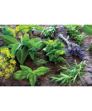 Aromatherapy Fragrance Creme with Honeysuckle Jasmine Herbs and Natural Oils - 2 oz - Buy Online on GoSupps.com