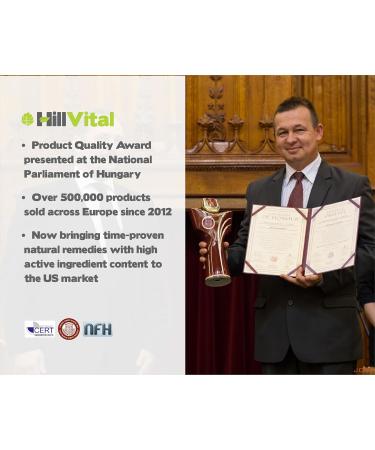 HillVital Bruise Cream Extra Strength Fast Healing for Thin Skin - Premium Bruise Gel and Comfrey Salve for Bone Healing Herbal Salve Comfrey Balm for Pain Moisturizing Bruse Formula Scar Cream - Buy Online on GoSupps.com