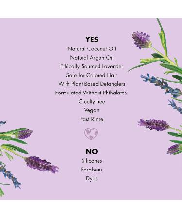 Love Beauty and Planet Argan Oil & Lavender Dry Hair Conditioner - Frizz Control - 32.3 oz - Buy Online on GoSupps.com