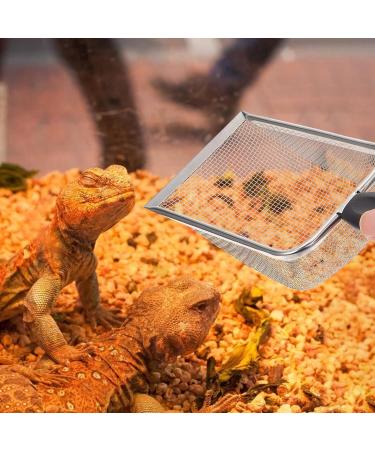 Balacoo Reptiles Sand Tortoise Lizard Litter Stainless Steel Cleaning Black 27X10X5CM (1309NS0WG8PEQ49PHS) - Buy Online on GoSupps.com