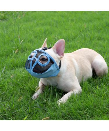 Jyhy Adjustable Muzzle for Short Snouted Dogs - Breathable & Comfortable Bulldog Muzzle for Biting Chewing & Training - Size M (28-43 cm) - Blue - Buy Online on GoSupps.com