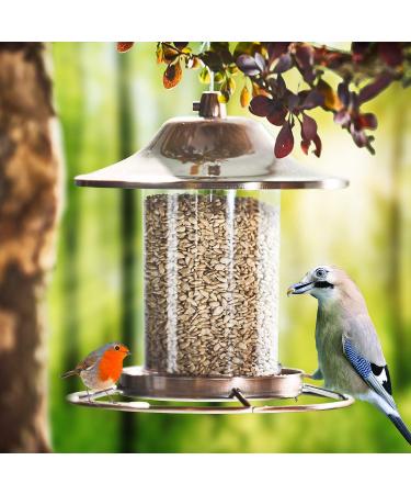 Buy Paul's M hle Sunflower Seeds for Birds Shelled 25 kg (2 x 12.5 kg) Harvest 2023 Premium Quality Fast International Shipping - Buy Online on GoSupps.com