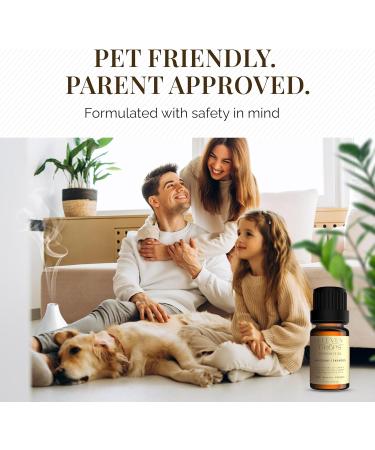 Eleven Drops Mahogany Teakwood Diffuser Oil Premium Fragrance Oil for Cold Air Diffusers Home Office DIY Candles Rich Woody Aroma Long Lasting Pet Friendly Made in USA 10ml Glass Bottle - Buy Online on GoSupps.com