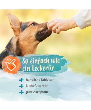 Ida Plus Diarrhea Set for Dogs - Diar Stop Tabs & Darmbiotic Chewing Tablets for Diarrhea Relief & Probiotic Support | 2x180g - Buy Online on GoSupps.com