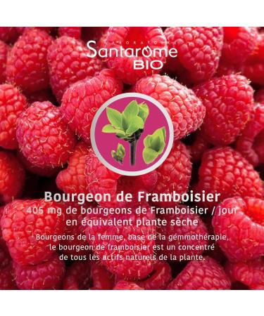 Santarome Bio - Organic Raspberry - Bud macerate - Organic Raspberry Bud - Fresh Bud - Gemmotherapy - Menstrual cycle food supplement - Bottle of 30 ml - France - Buy Online on GoSupps.com