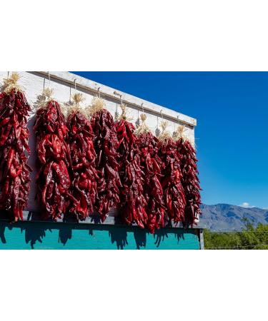 Jeske Sports Supplies Tasty Pott Chili spices spice mixtures spicy sharp spices spices chili powder spicy kitchen Bio Birds Eye chili peppers whole 30 g - Buy Online on GoSupps.com