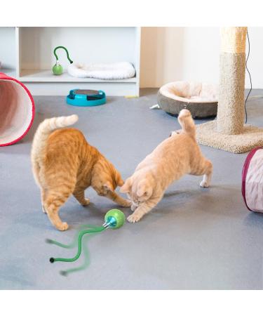 IOKHEIRA Interactive Cat Toy Cat Toys for Indoor Cats Adult Motion Activated Automatic Moving Ball Toy Electric Automatic Cat Toys with 2 Long Tail Teaser Suitable for All Floors and Carpets Green - Buy Online on GoSupps.com