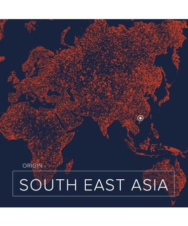 Naissance Certified Organic Coconut Oil (No. 227) 250 g - Pure Natural Solid - for Hair Body Face Massage Cosmetics Skin - Buy Online on GoSupps.com