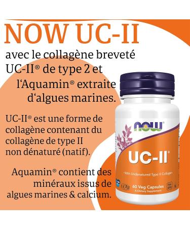 Now Foods UC-II (Collagen Type 2) with Minerals 60 Capsules Lab Tested Gluten Free Soy Free Non-GMO - Buy Online on GoSupps.com