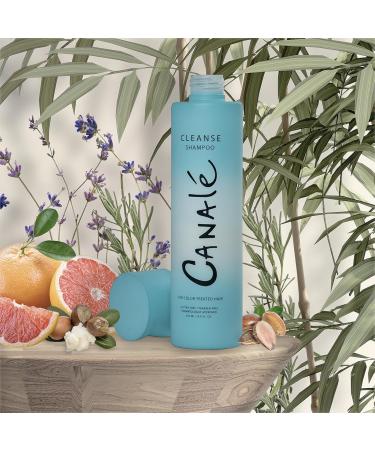 CLEANSE Restoring Shampoo | Hydrating & Nourishing for All Hair Types | International Shipping Available - Buy Online on GoSupps.com