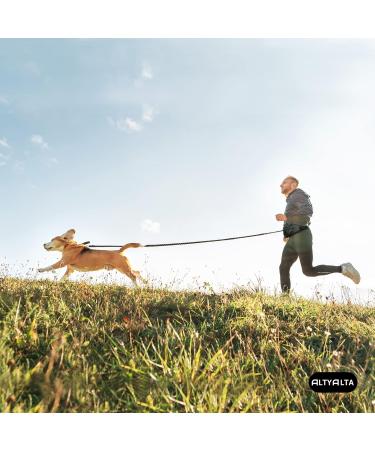 ALTYALTA EZ Dog Walking Bumbag - 6 Pocket Training Treat Pouch with Waste Bag Dispenser, 1.6L, Black Melange - Buy Online on GoSupps.com