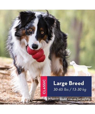 KONG Classic Dog Toy - Durable Natural Rubber for Chew, Chase, and Fetch | Large Size - Buy Online on GoSupps.com
