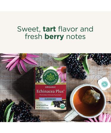 Traditional Medicinals Organic Echinacea Plus Elderberry Tea - 16 Tea Bags (Pack of 6) - Buy Online on GoSupps.com