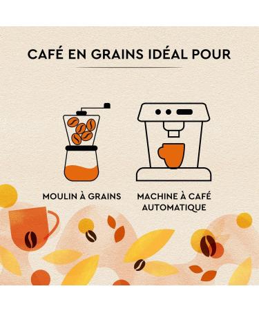CARTE NOIRE - Petit D jeuner - Caf en Grains - Intense et G n reux - Paquet de 6 kg - Buy Online on GoSupps.com