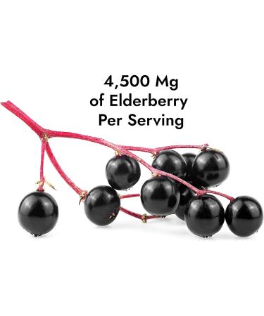 Source Biology Elderberry Gummies - Immune Support with Vitamin C and Zinc - Vegan Formula - 4500 Mg Elderberry - 60 Gummies - Buy Online on GoSupps.com