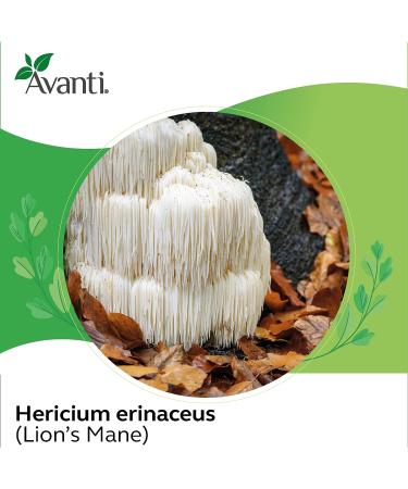 100% Lion's Mane Mushroom Extract Powder - Pure & Additive-Free - 3.52 Oz - Buy Online on GoSupps.com