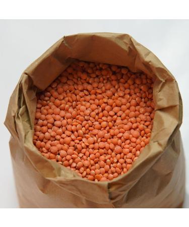 Buy Planet Nature Bio Red Lentils 500g - Organic Healthy International Shipping - Buy Online on GoSupps.com