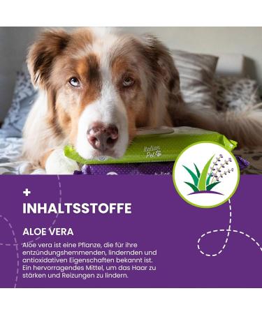 Biodegradable Aloe Vera & Lavender Pet Towels - 50 Organic Wet Wipes for Dogs Cats & Rabbits - Eco-Friendly 20x30 cm Cloths - Buy Online on GoSupps.com