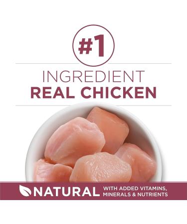 Purina ONE +Plus Senior Dry Dog Food Healthy Aging 7+ with Chicken - 11.7 kg Bag & Purina +Plus Senior Dry Cat Food Chicken - 1.8 kg Bag - Buy Online on GoSupps.com