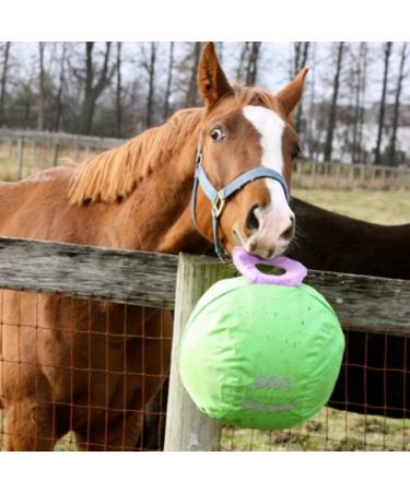 Signature Horsemen's Pride 14-Inch Horse Jolly Tug Blue one size - Buy Online on GoSupps.com