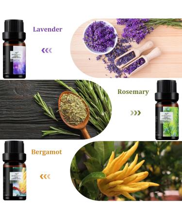 Fresh Essential Oils Set - 6x10ml Aromatherapy Gift Kit for Diffusers & Humidifiers - Tea Tree Lavender Peppermint & More - Buy Online on GoSupps.com