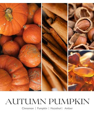 AOOVOO Spiced Pumpkin Candle - Premium Fall Soy Candles Scented Aromatherapy Candle for Women - 9 OZ - Buy Online on GoSupps.com