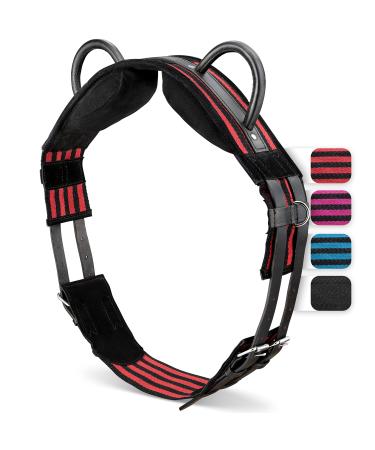 Esposita riding strap with 2 leather handles for holding on for children and riders - also suitable as a lunging belt vaulting belt or as a wooden horse accessories VB / COB red -black