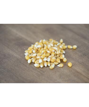 Amish Country Popcorn - 2 lb Medium Yellow Kernels | Non-GMO, Gluten-Free, Old Fashioned - Buy Online on GoSupps.com