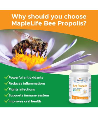 Maplelife Bee Propolis Natural Relief 500mg Easy to Take Capsule Essential Immunity Booster - 100 capsules - Buy Online on GoSupps.com